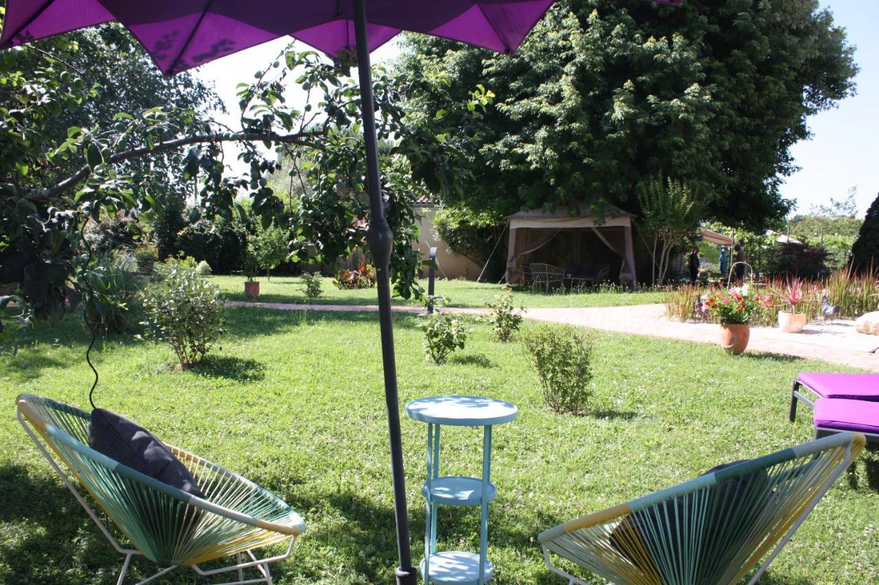 Les Milahinas Apartment Lescure-d'Albigeois Bagian luar foto